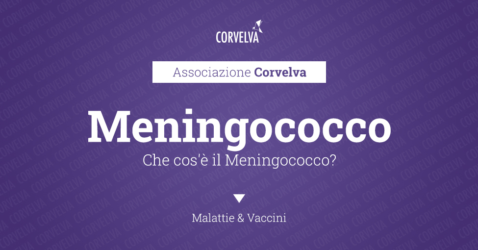 Che cos'è il Meningococco?